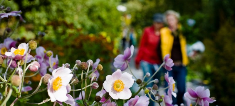 Frösunda långtestade innan köp