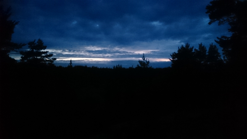 Tiden då mobilsurfet ökar mest – natten